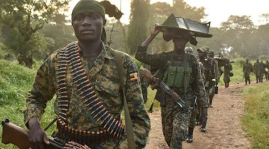 Causan devastación en África para alimentar el culto al cambio climático