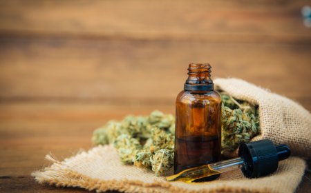 El aceite de cannabis cura el cáncer