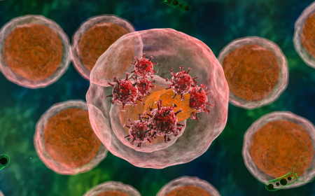 ¿Que es el síndrome VEXAS?