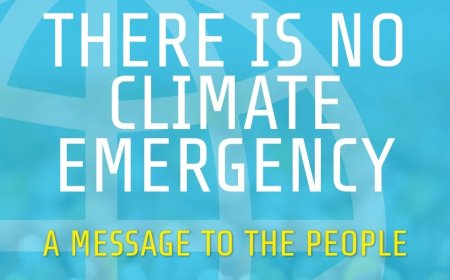 No existe ninguna emergencia climática