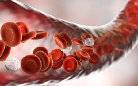 Coágulos en la sangre de los vacunados COVID 19...y lo siguen negando