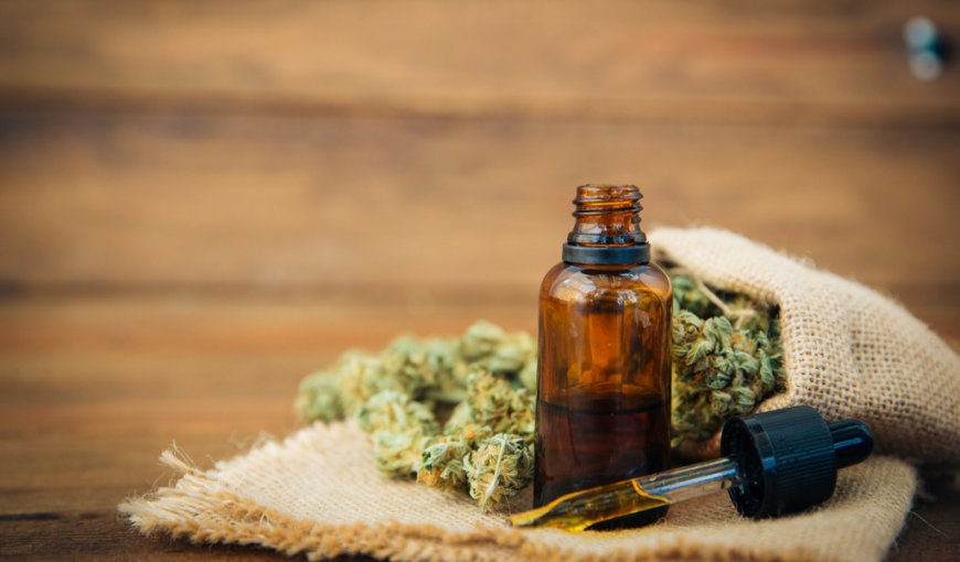 El aceite de cannabis cura el cáncer