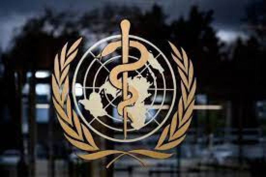 La OMS planea convertirse en el gobierno mundial