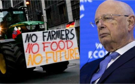 Controles de carbono