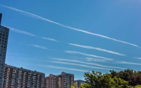 Dueños del clima en 2025