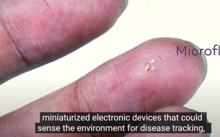 Redes humano-computadora e IA