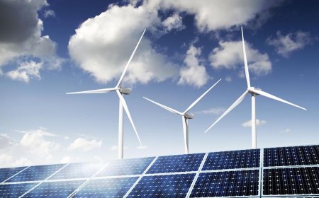 Los costos reales de las "energías renovables"