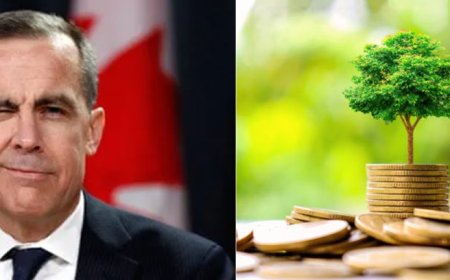 Quieren reducir el CO2 como sea