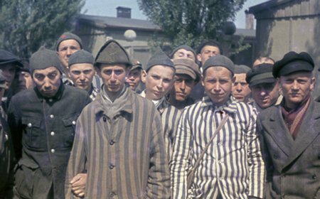 ¿Por qué los alemanes terminaron matando a los judíos?