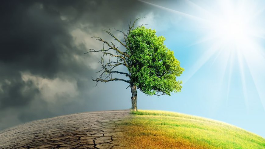 No existe crisis climática asi como nos cuentan