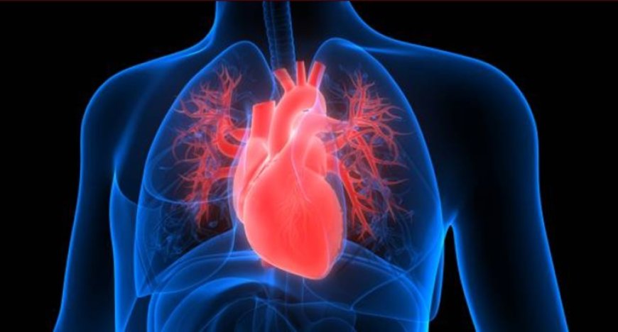 ¿Habrá una pandemia mundial de insuficiencia cardíaca?