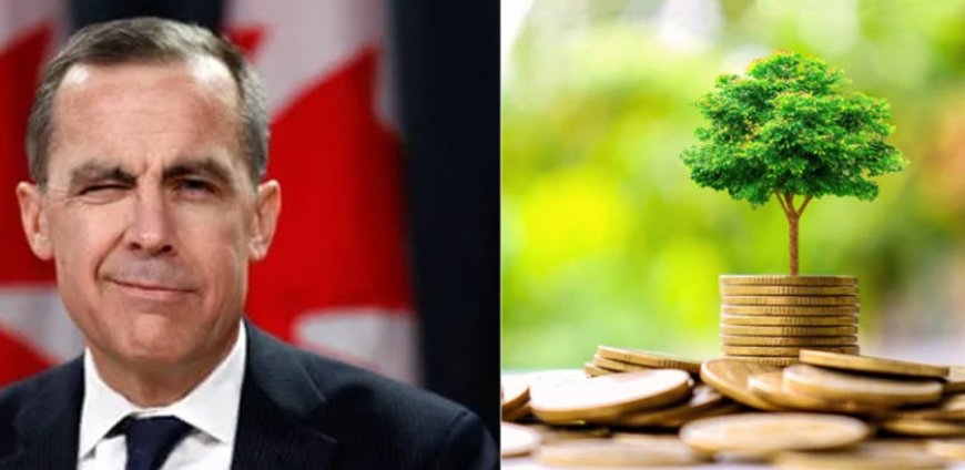 Quieren reducir el CO2 como sea