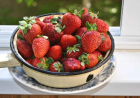 Cómo deshidratar fresas en tu horno
