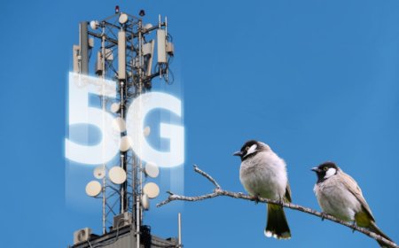 Las torres de telefonía móvil causan CANCER