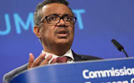 Red Mundial de Certificados de Salud Digital