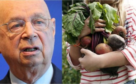 WEF - Luchar contra el cambio climático