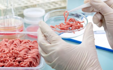 La carne artificial causa la muerte