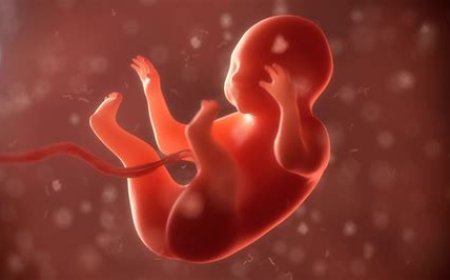 La UE acelera su agenda globalista