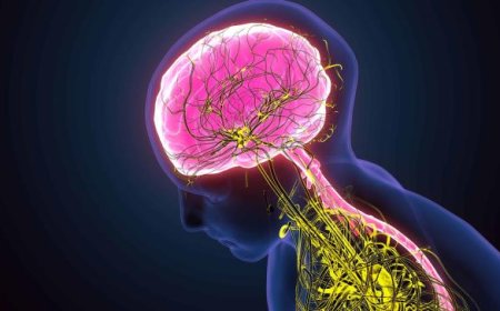 Te IRRADIAN y acaban con tus NEURONAS