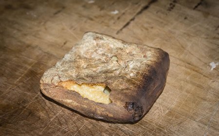 Alimentos de supervivencia