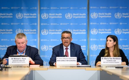 Tratado de Pandémica de la OMS van muy mal