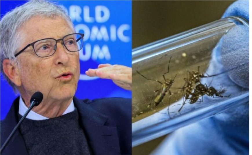 ?Los mosquitos GMO de Bill Gates causan DENGUE en Brasil¿