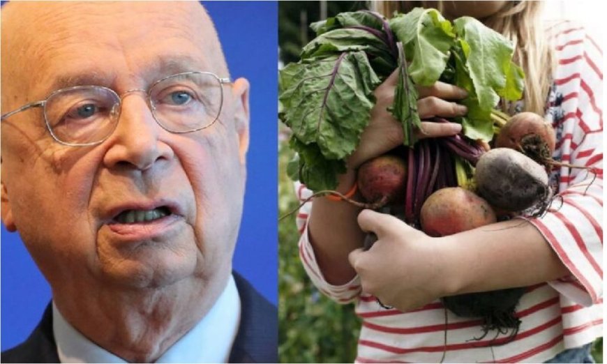 WEF - Luchar contra el cambio climático