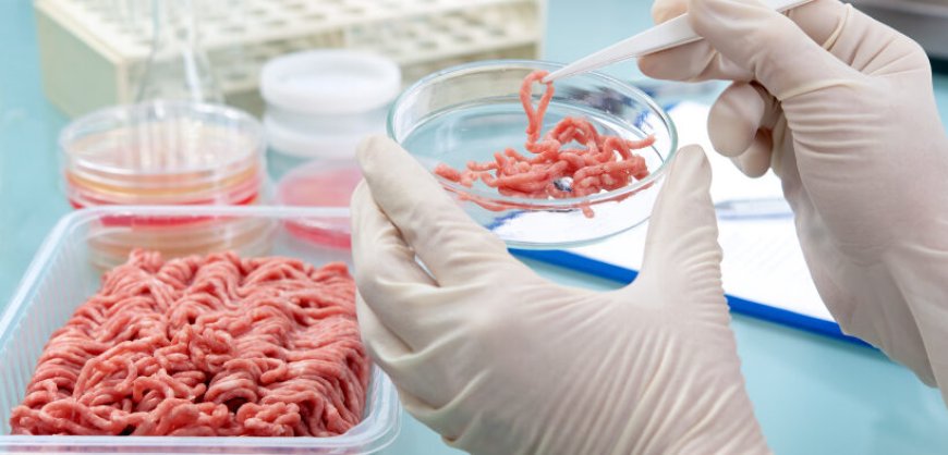 La carne artificial causa la muerte