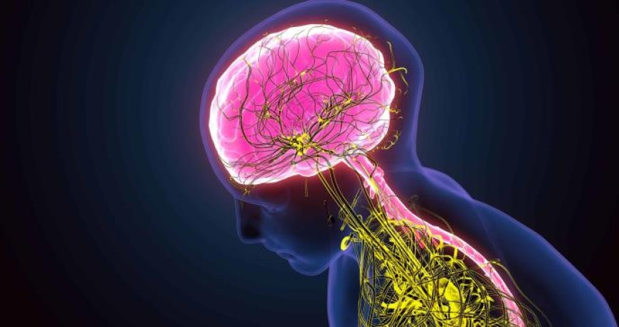 Te IRRADIAN y acaban con tus NEURONAS