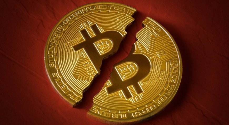 ¿Qué es el halving de bitcoin?