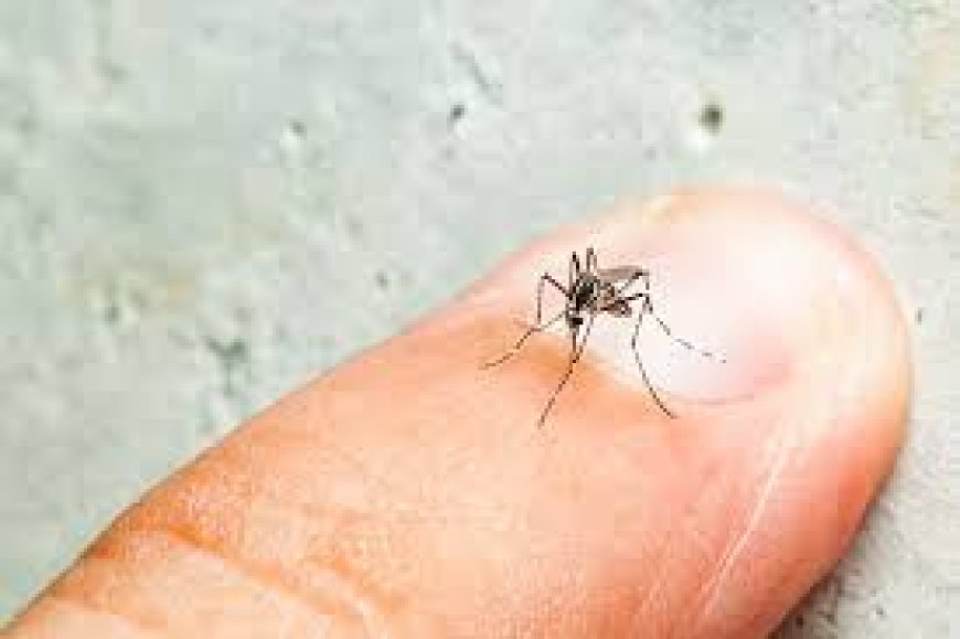 NO ES DENGUE IDIOTAS - Es radiacion 5G