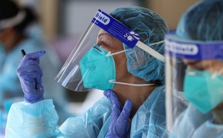 COVID fue una mentira