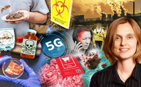 Peligros de comer insectos - LA VERDAD