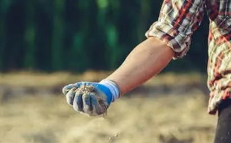 El suelo - el nuevo criminal climático