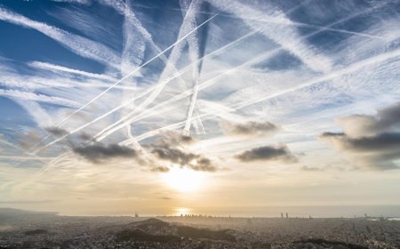 La amenaza tóxica para la humanidad