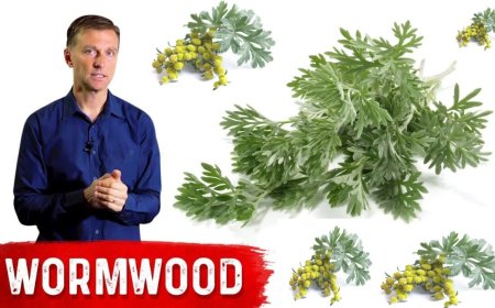 Tratamiento del cáncer con ajenjo