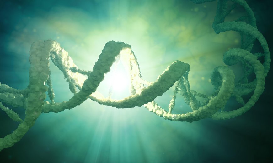 Los experimentos transhumanos