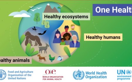 Una sola salud está integrado en el Tratado sobre Pandemias Horribles de la OMS; hay que detenerlo