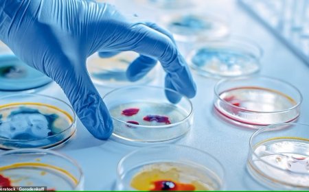 La locura continúa: científicos chinos crean el virus del “Ébola mutante”