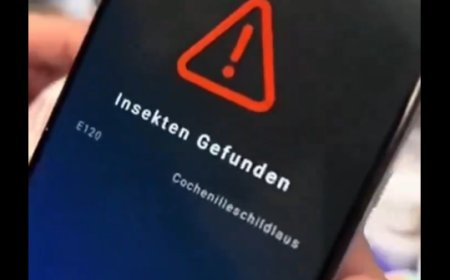 APP escaner de componentes de insectos en la comida