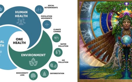 Adoración a Gaia, Wicca y Paganismo