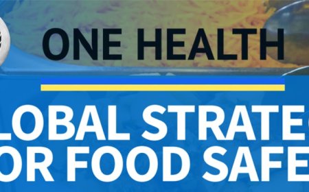 El objetivo de la OMS es vigilar y controlar el suministro mundial de alimentos