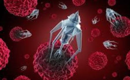 Las tormentas geomagnéticas pueden destruir los nanobots en las vacunas Covid