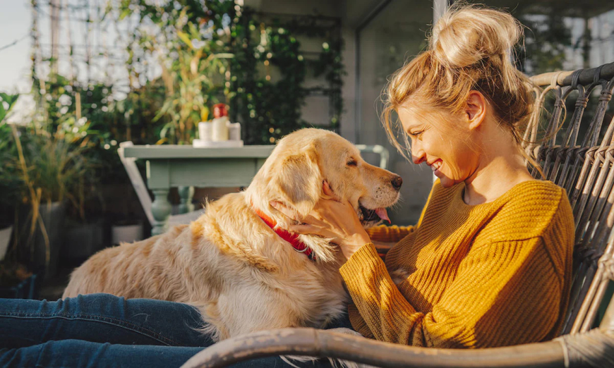 ¿Pueden las mascotas ayudarte a mejorar tu carácter?