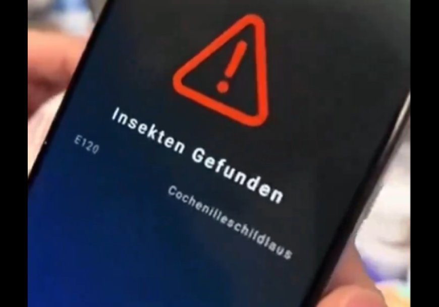 APP escaner de componentes de insectos en la comida