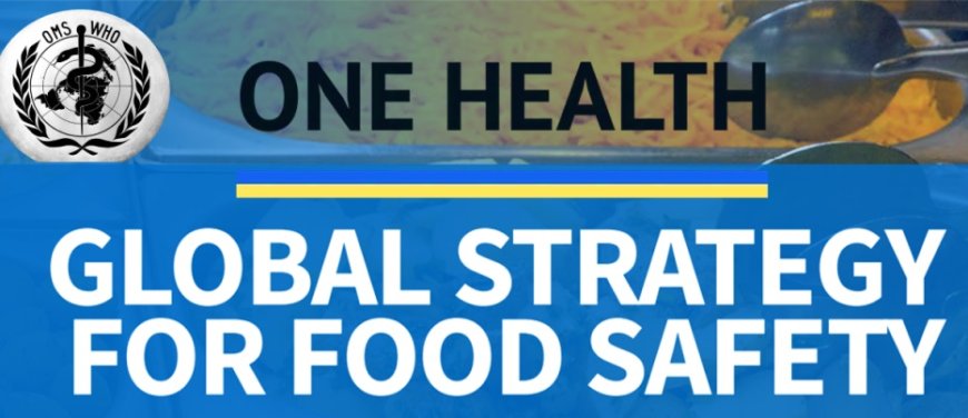El objetivo de la OMS es vigilar y controlar el suministro mundial de alimentos