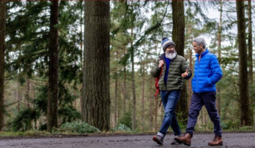 Caminar en la naturaleza es bueno para la salud
