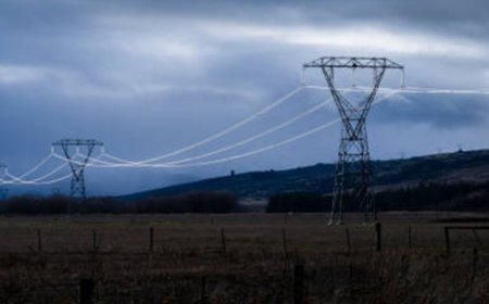 El peligro de los campos electromagnéticos