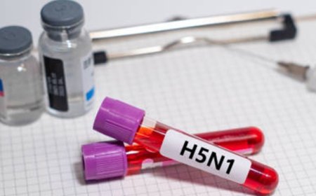 La operación de la gripe aviar parece una repetición de la operación covid