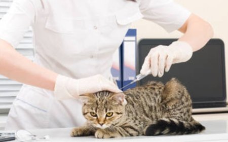 El mundo del crédito social está mucho más cerca